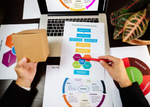 Business Launch Roadmap Querétaro